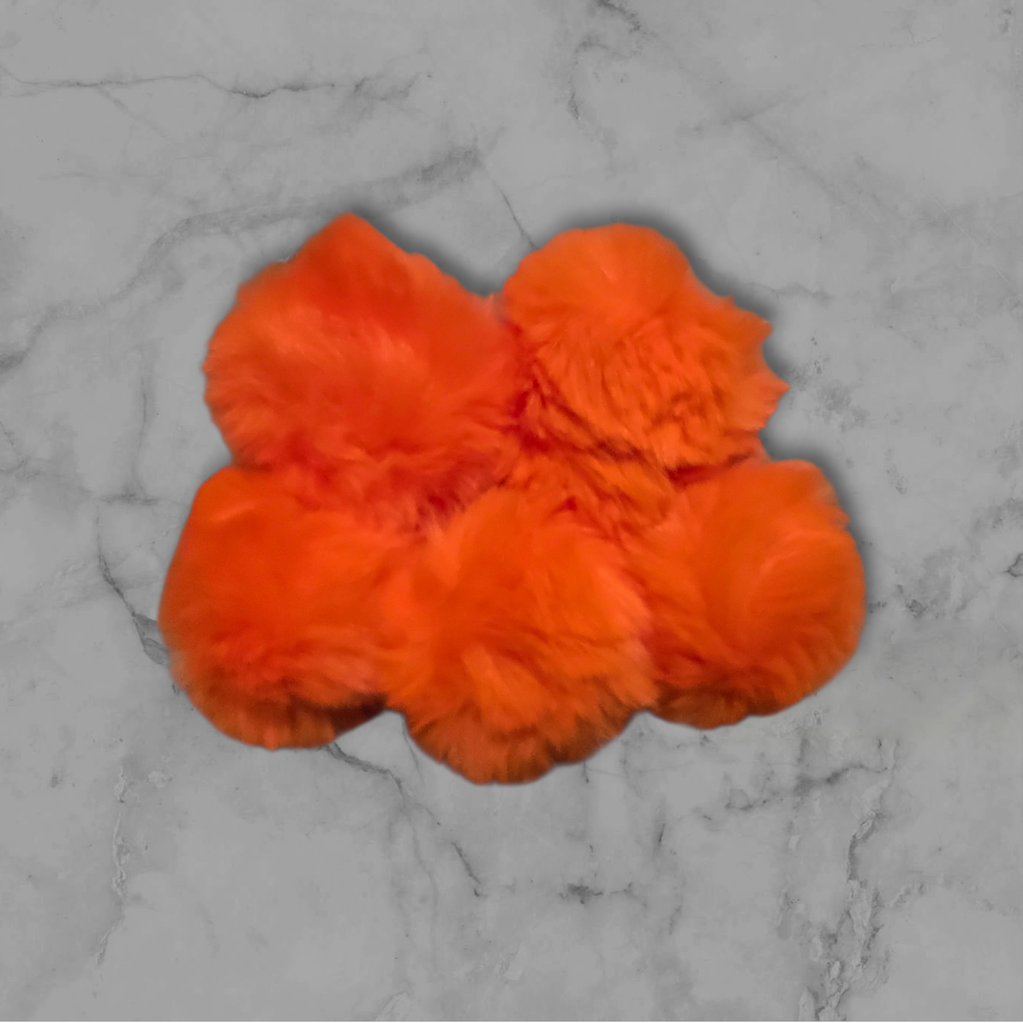 Pom Pom
