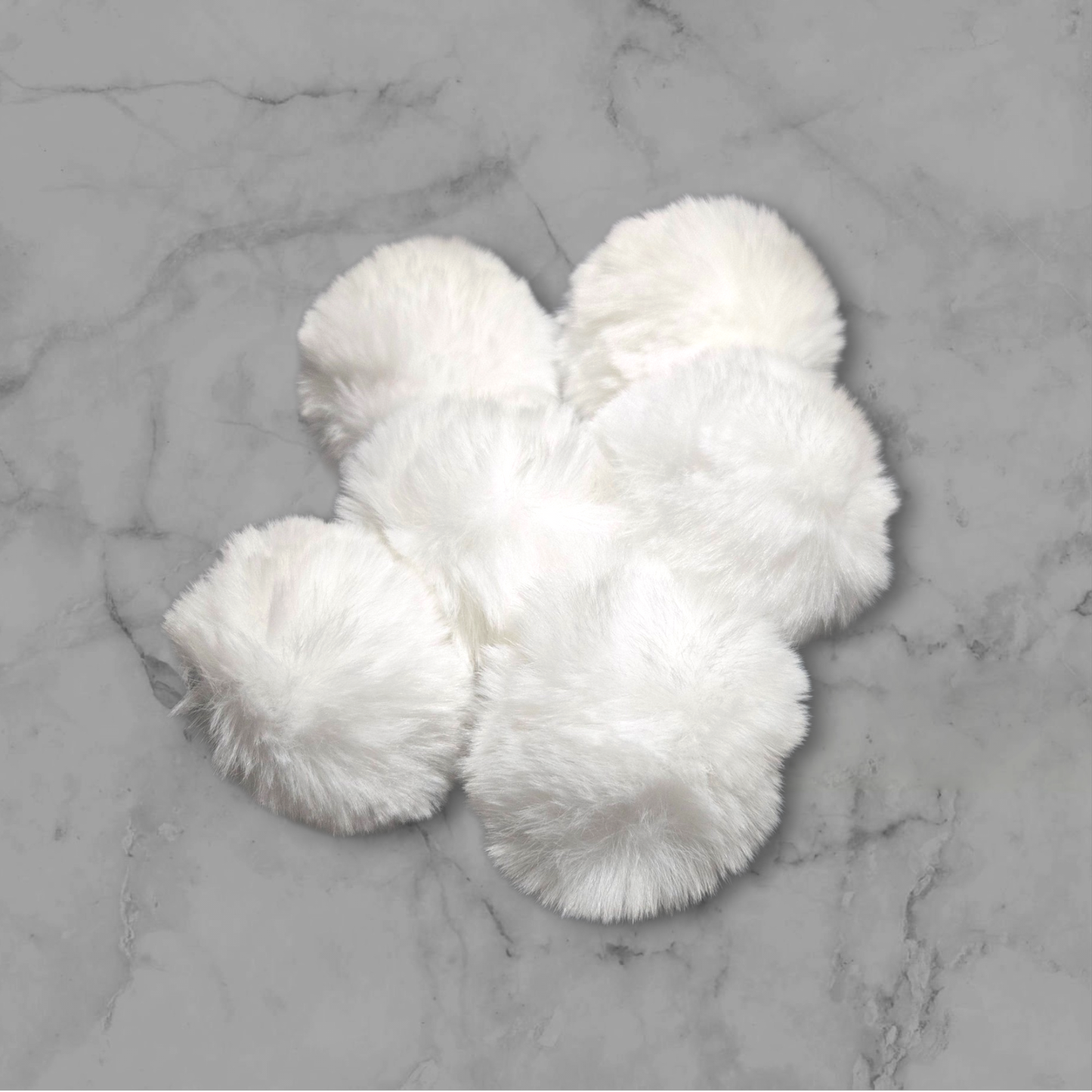 Pom Pom
